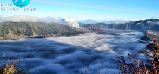 Keindahan B29 Lumajang: Negeri di Atas Awan yang Memukau