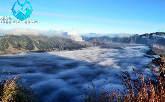 Keindahan B29 Lumajang: Negeri di Atas Awan yang Memukau